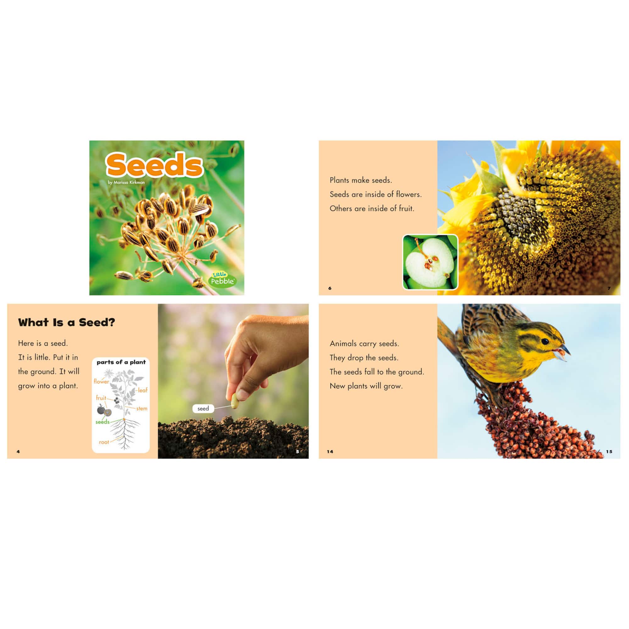 Capstone Press Plant Parts Book Set